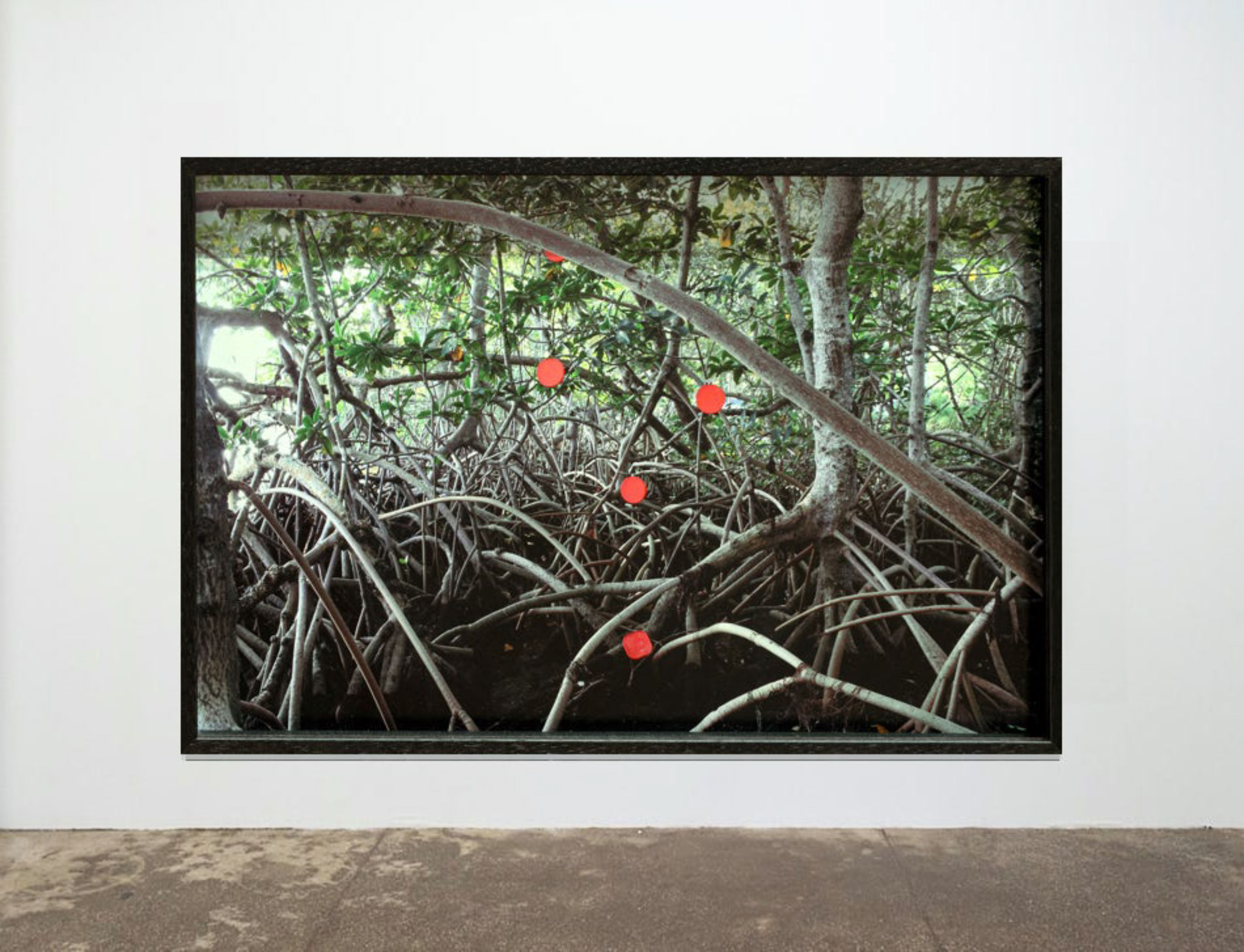 installation